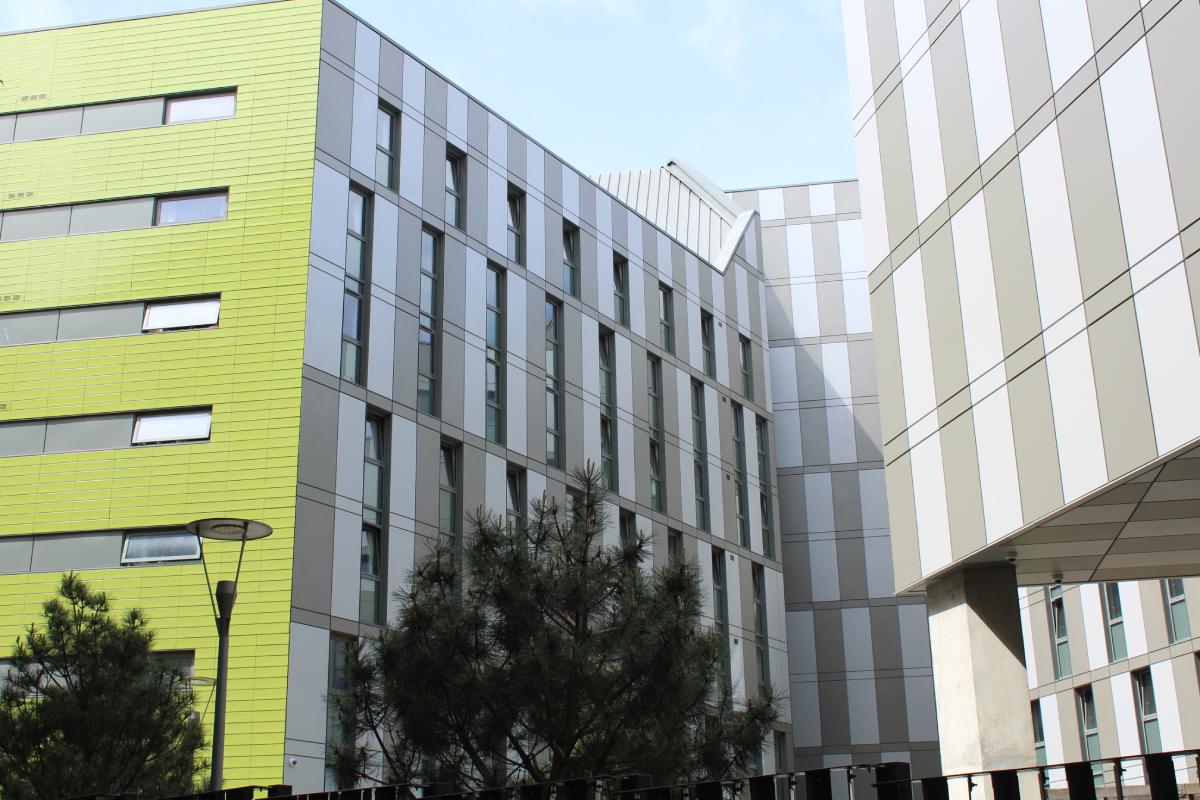 Verde Student Accommodation — photograph 2